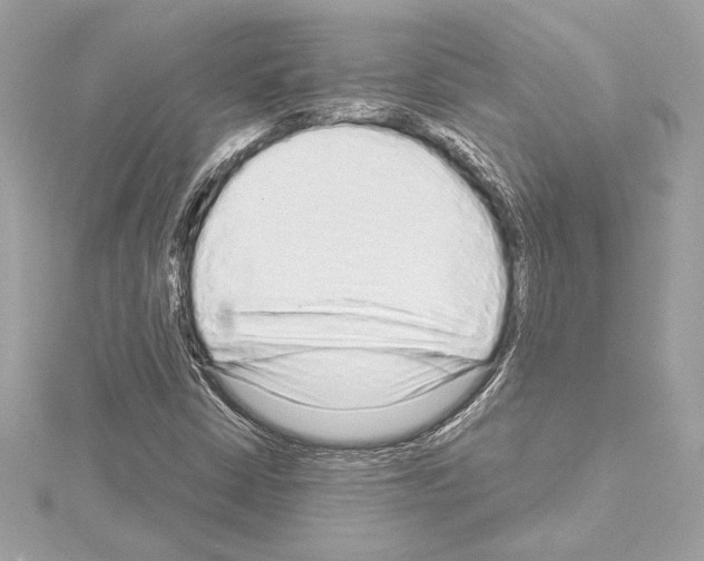 X0000114441402200911271628