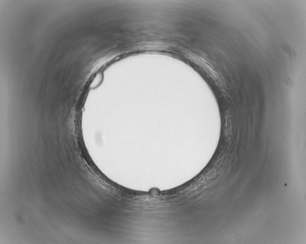 X0000114441404200911271628