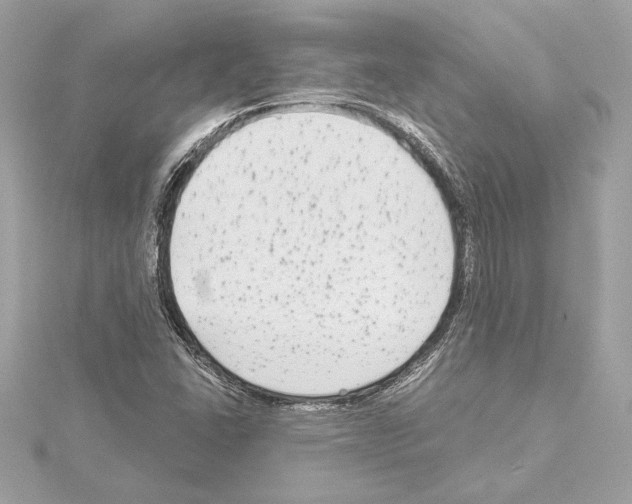 X0000114441406200911271628