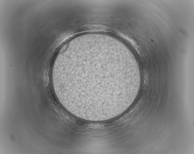 X0000114441407200911271628