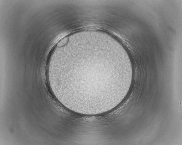 X0000114441410200911271628