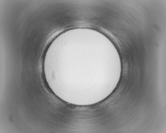 X0000114441415200911271628