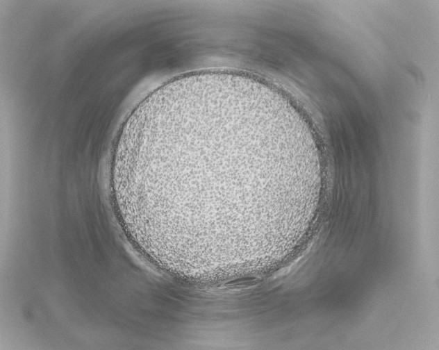 X0000114441421200911271628