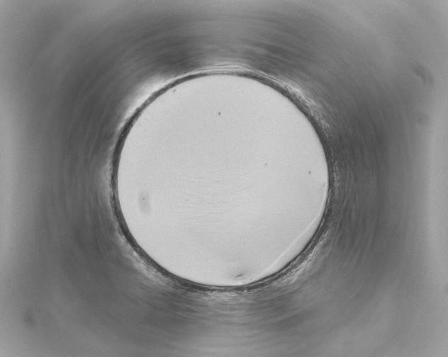 X0000114441422200911271628