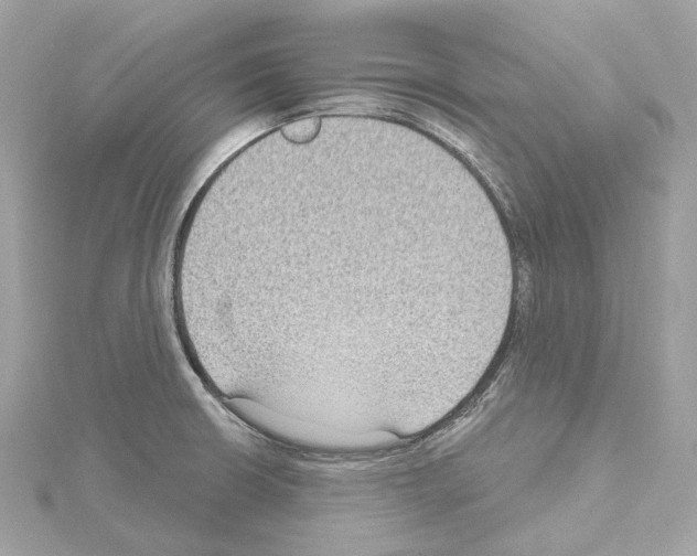 X0000114441426200911271628