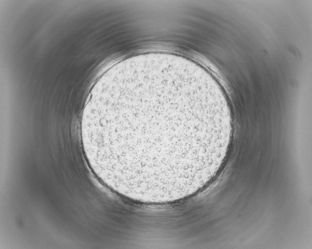 X0000114441433200911271628