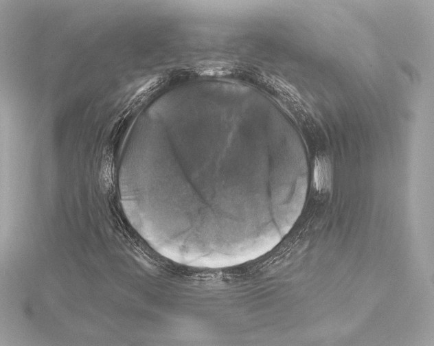 X0000114441444200911271628