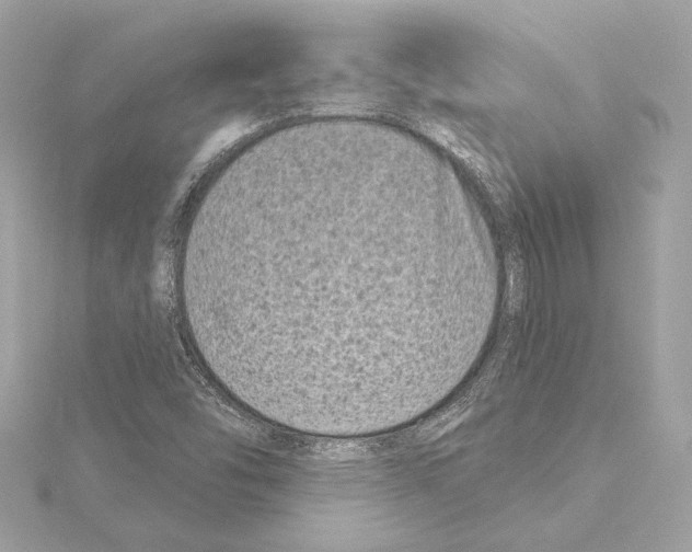 X0000114441454200911271628