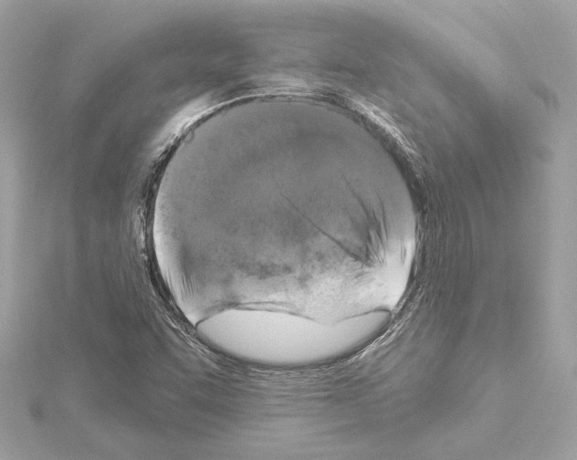 X0000114441455200911271628