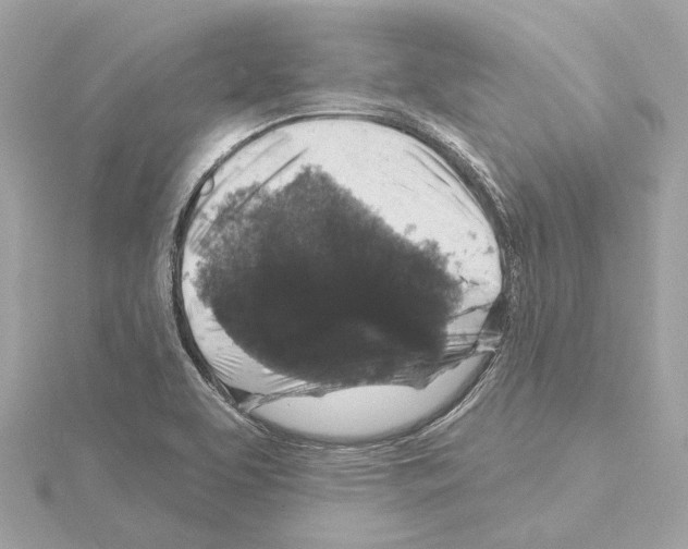 X0000114441463200911271628