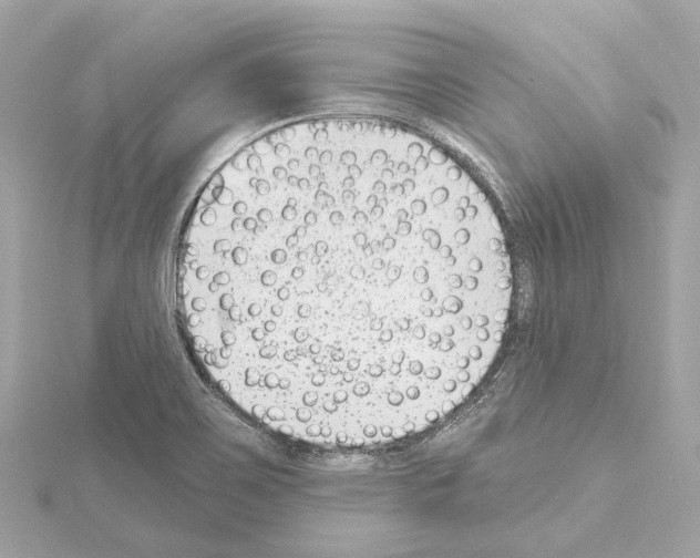 X0000114441467200911271628