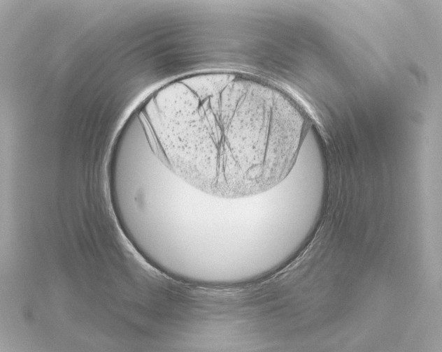 X0000114441468200911271628
