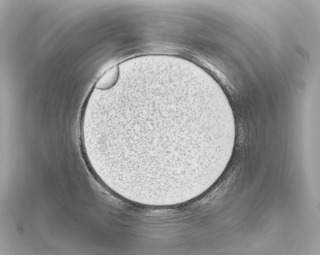 X0000114441471200911271628