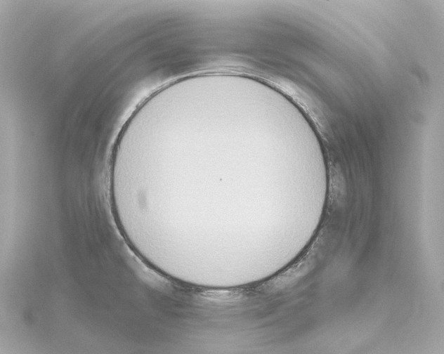 X0000114441478200911271627