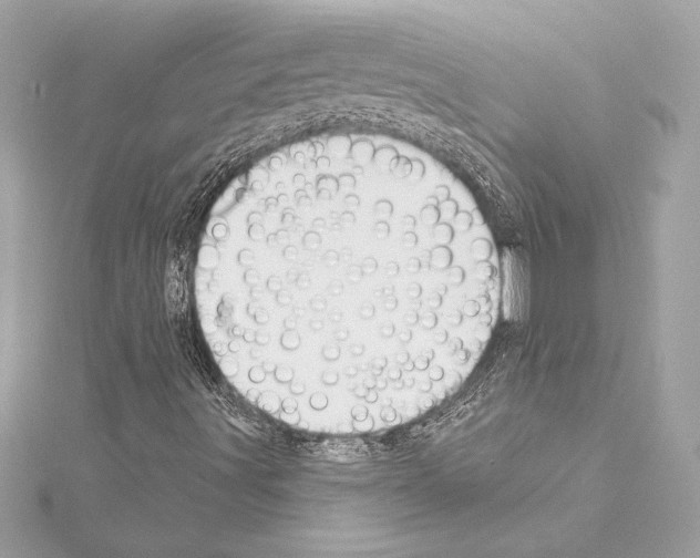 X0000114441491200911271627