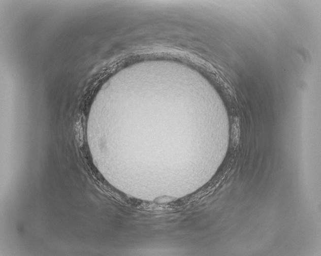 X0000114441493200911271627