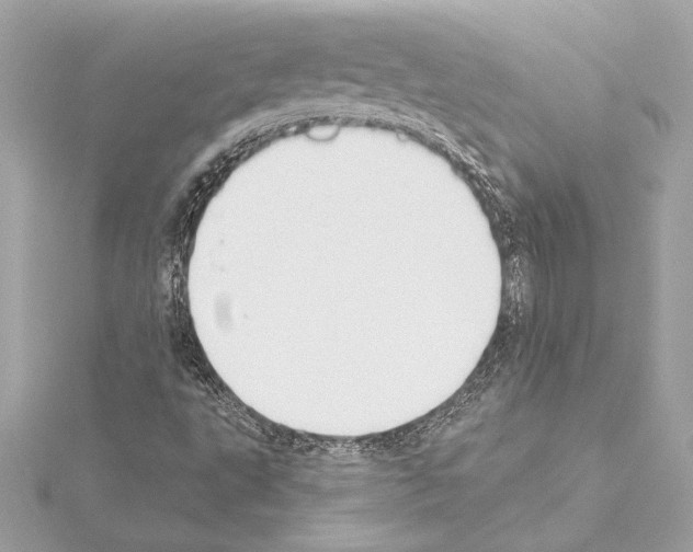 X0000114441495200911271627