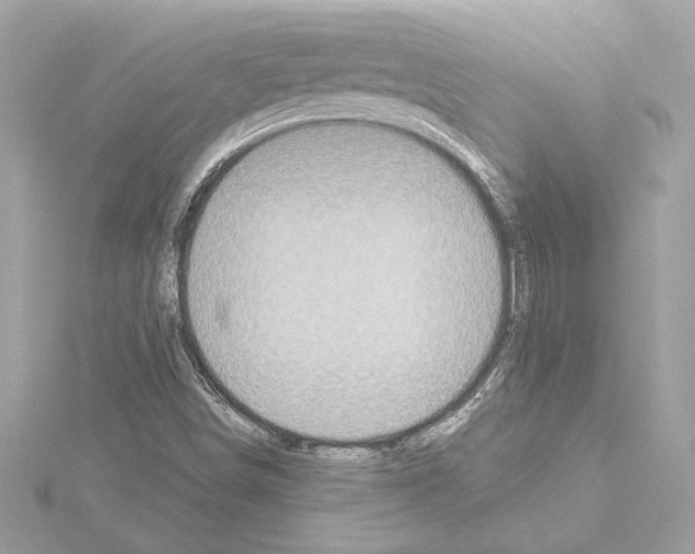 X0000114441498200911271627