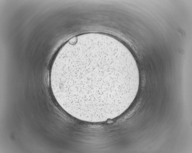 X0000114441509200911271627