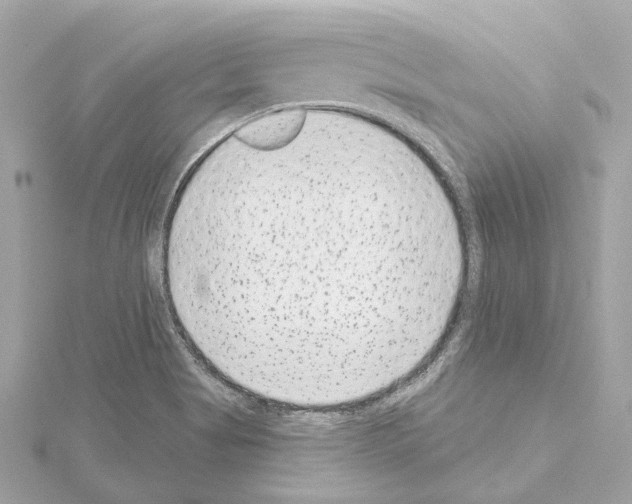 X0000114441513200911271627