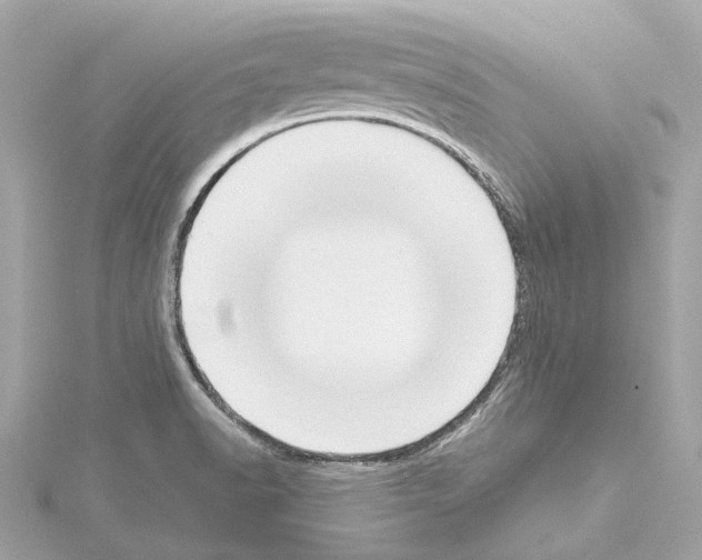 X0000114441518200911271627
