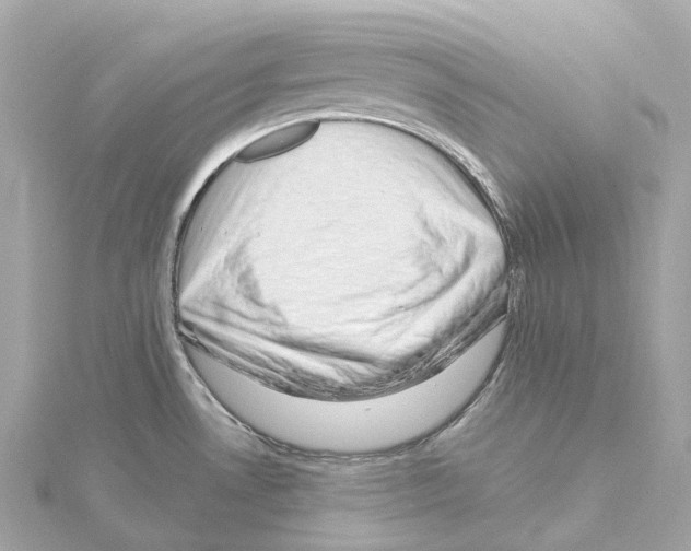 X0000114441530200911271627