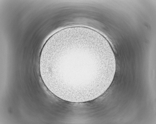 X0000114441534200911271627