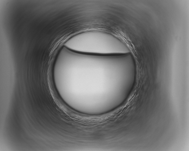 X0000114490001200910191126