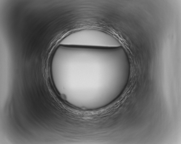 X0000114490002200910191126