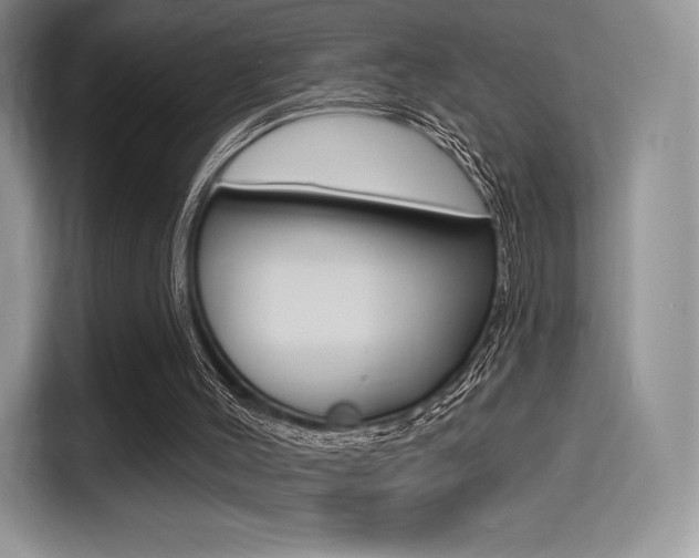 X0000114490004200910191126