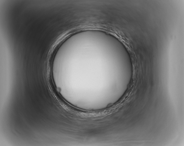X0000114490005200910191126