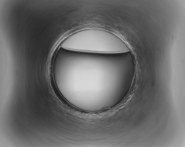 X0000114490007200910191126