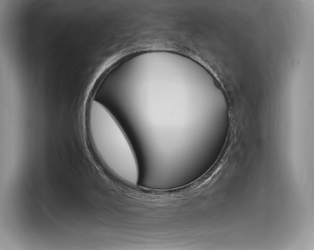X0000114490008200910191126