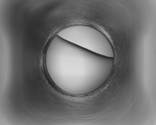 X0000114490010200910191126