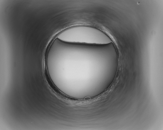 X0000114490011200910191126