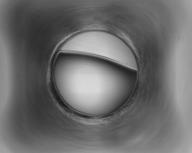 X0000114490012200910191126