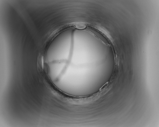 X0000114490013200910191126