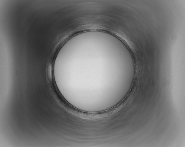 X0000114490014200910191126