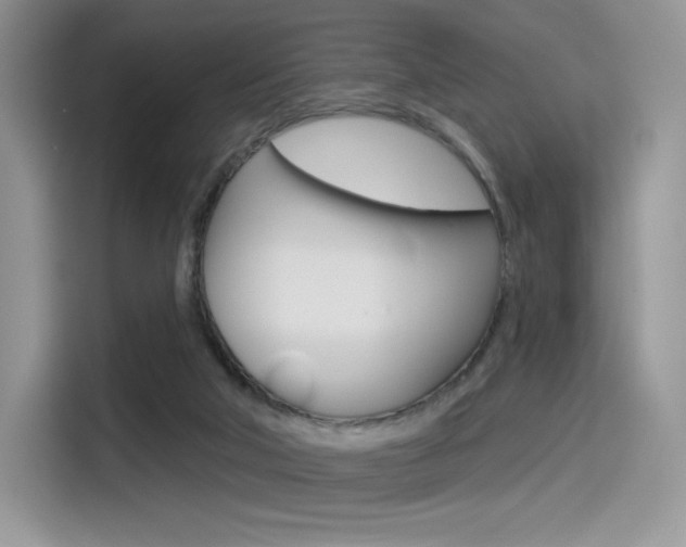 X0000114490018200910191125