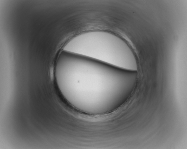 X0000114490019200910191125