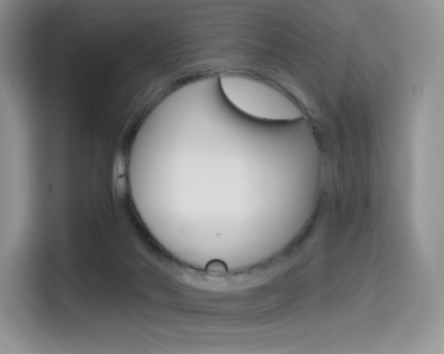 X0000114490022200910191125