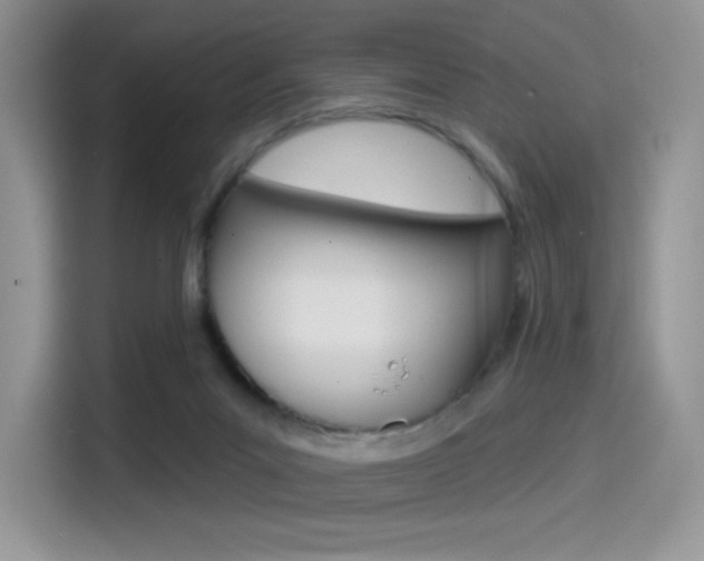 X0000114490023200910191125
