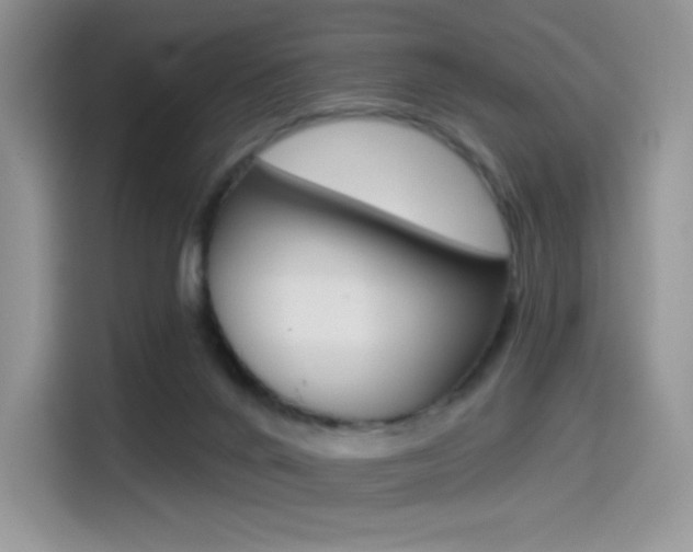 X0000114490024200910191125