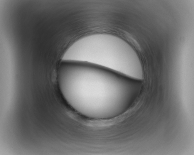 X0000114490025200910191125