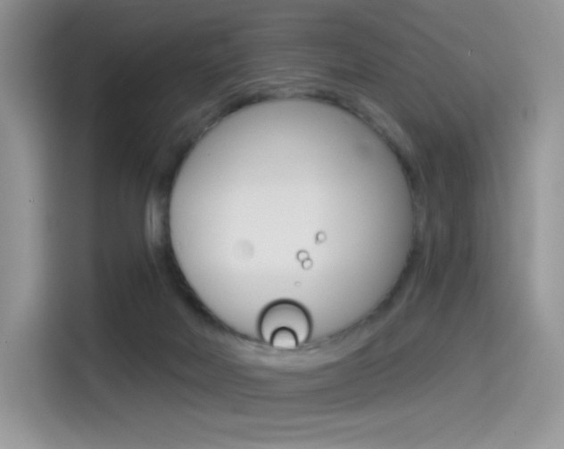 X0000114490026200910191125