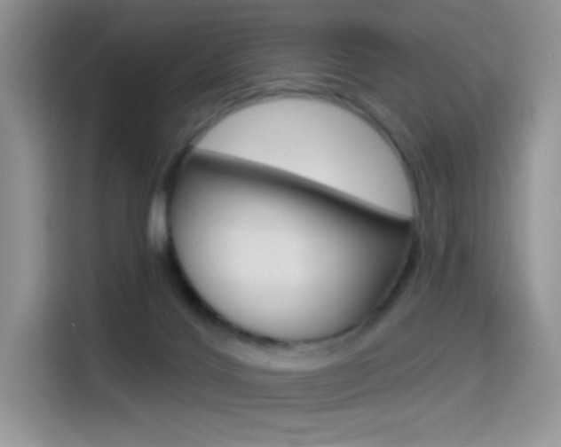 X0000114490028200910191125