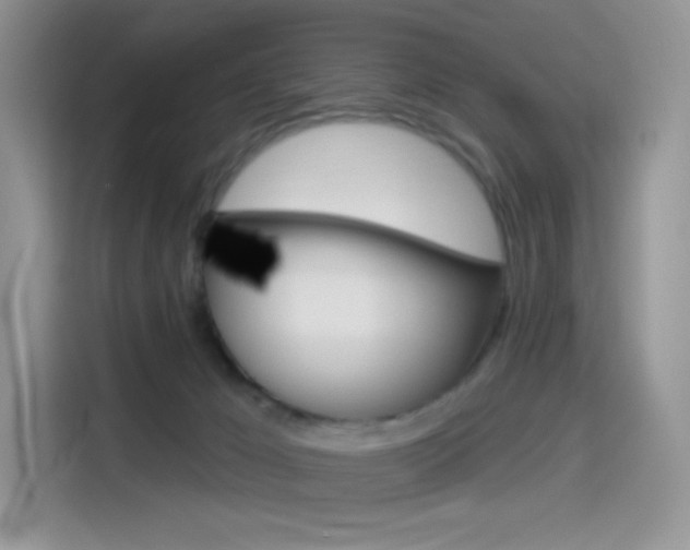X0000114490029200910191125