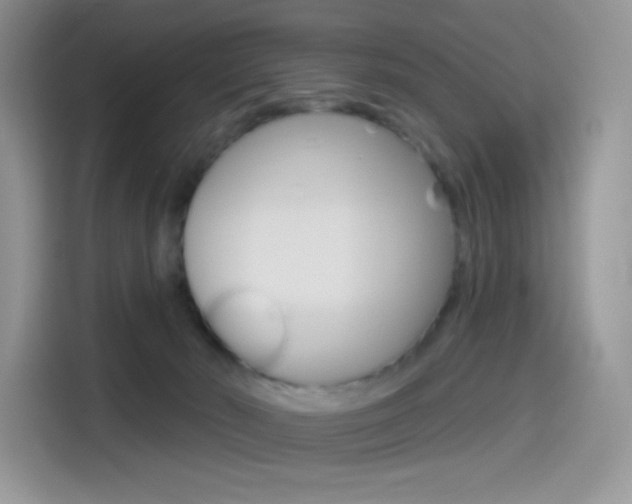 X0000114490030200910191125