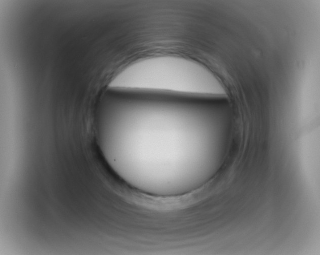 X0000114490031200910191125