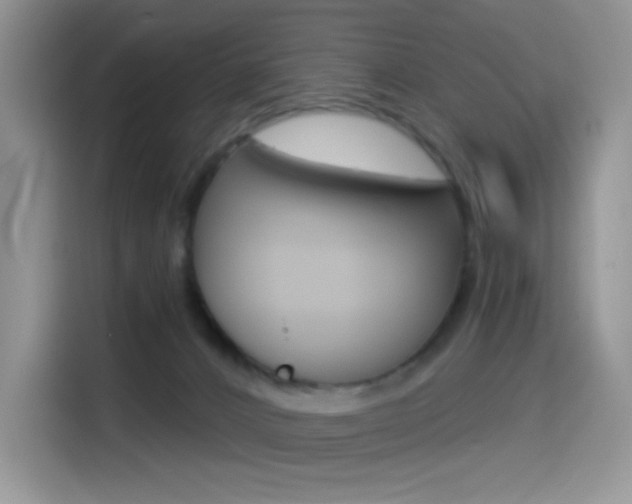 X0000114490032200910191125